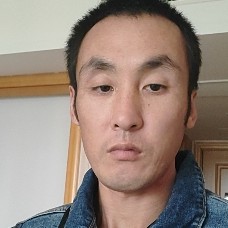 可爱保卫飞鸟的照片