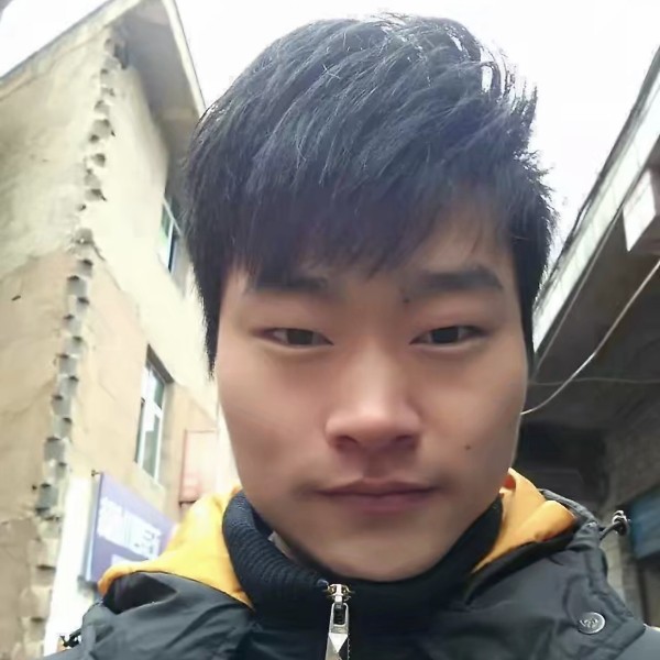 蜜蜂我们的的照片