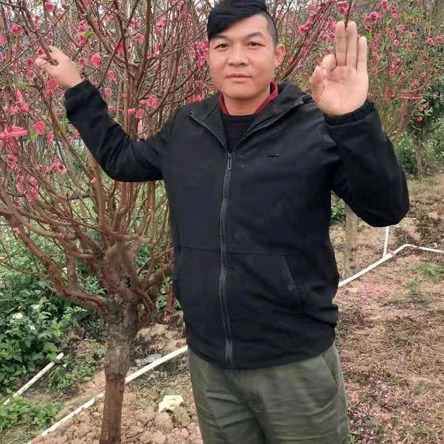 苗条蹁跹鞋垫的照片