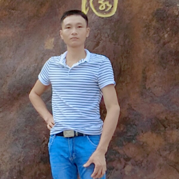 聪慧的小刺猬的照片