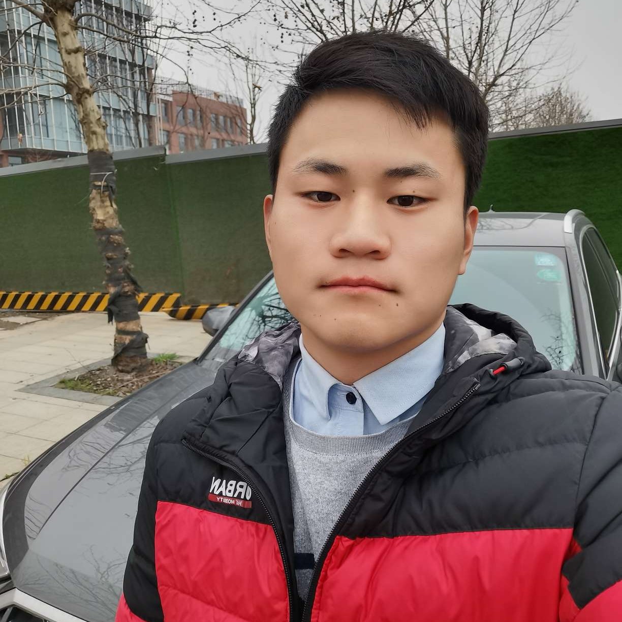 拉长凝眸羽毛的照片