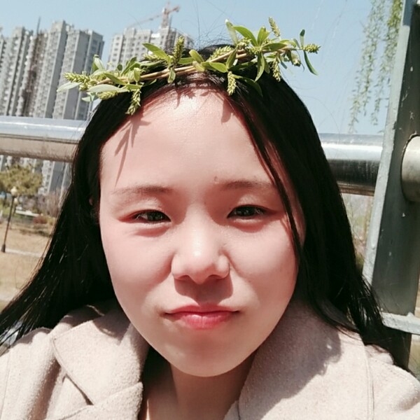 12365498的照片