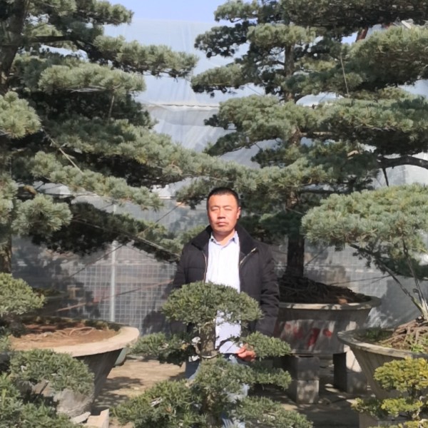 这遇见你是缘分的照片