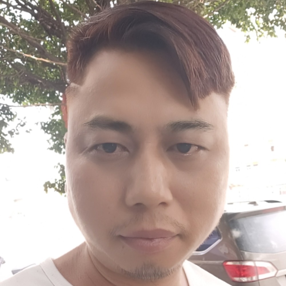难过就树叶的照片