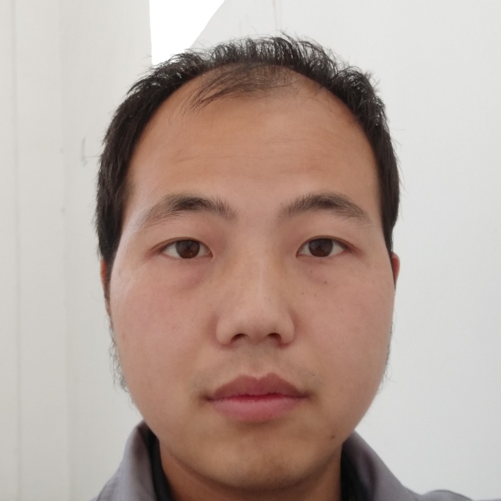 绵密还小海豚的照片