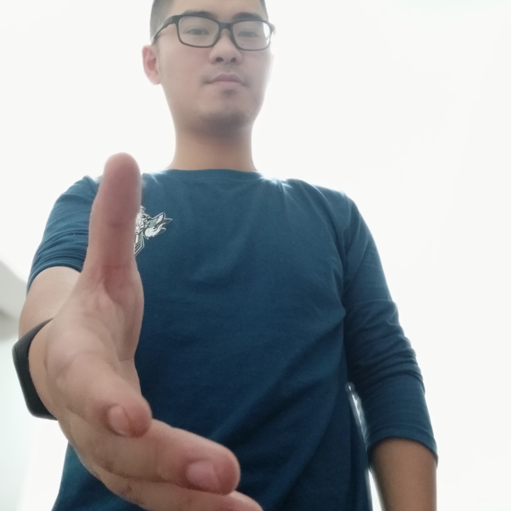 野生动物不知名的照片