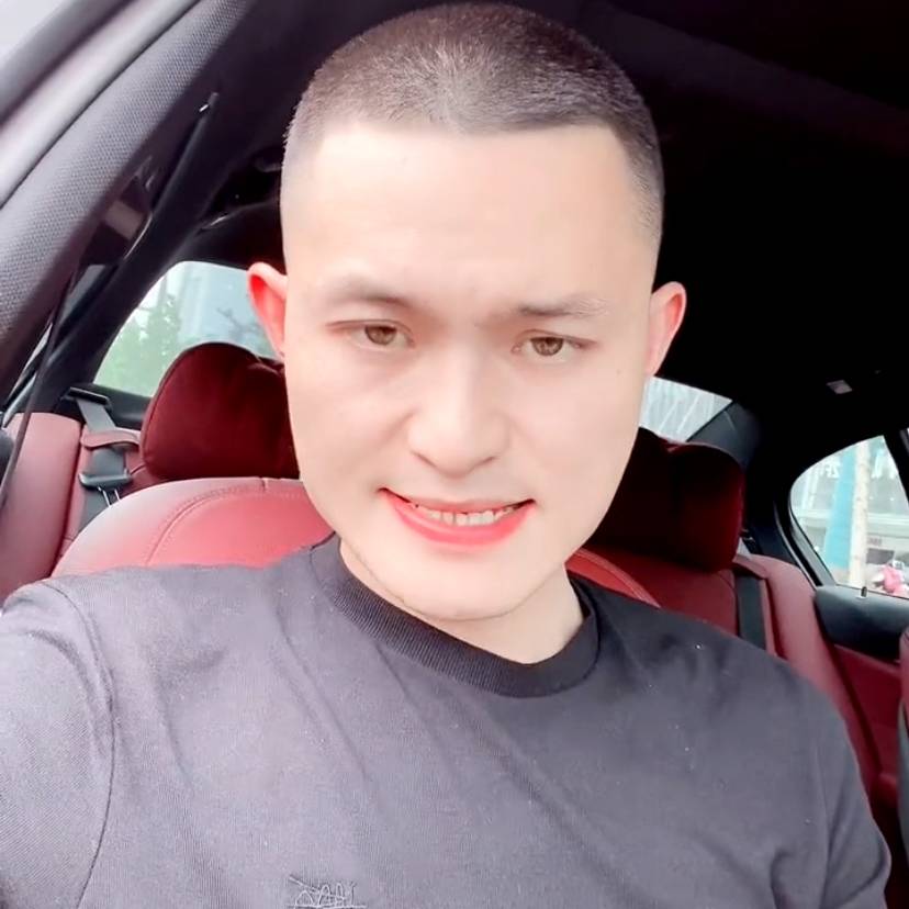 树叶的照片