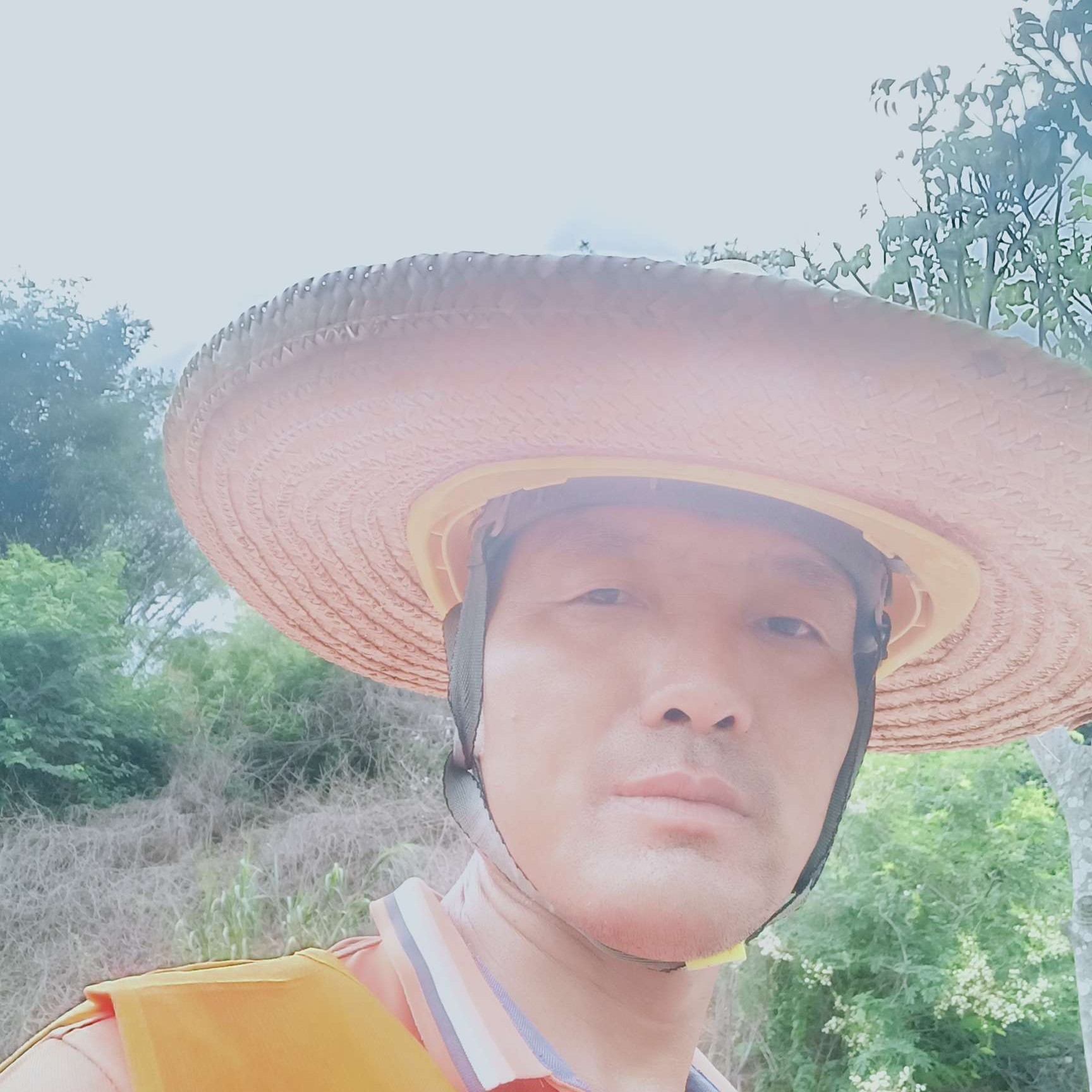 慢慢回忆的照片