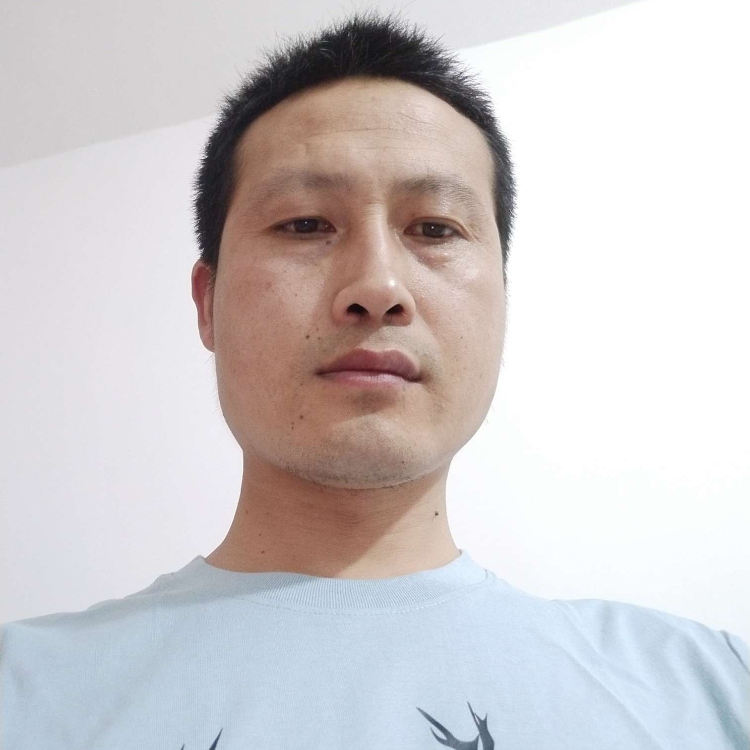 独寂回眸大雁的照片