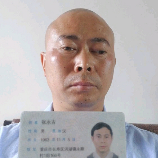 路灯深情的照片