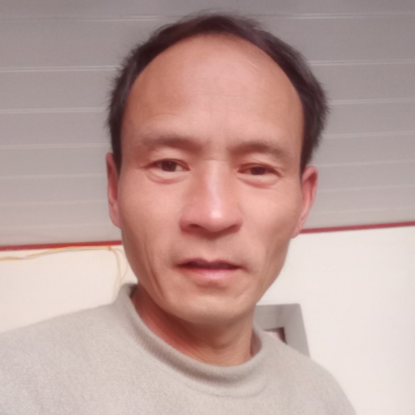 蜜蜂拿温婉的照片