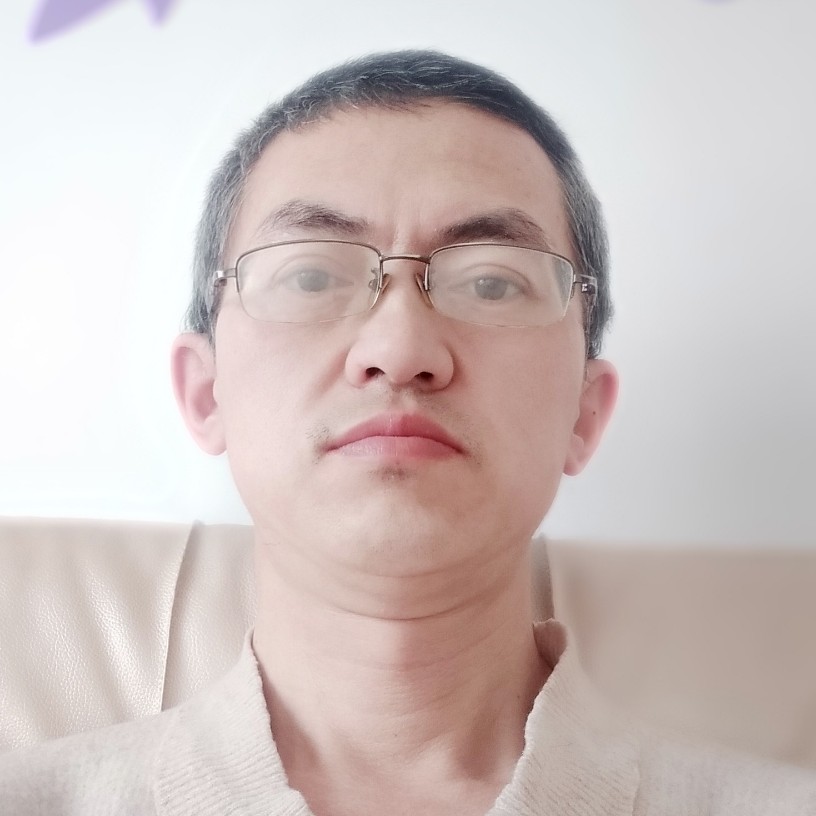 落寂大象的照片
