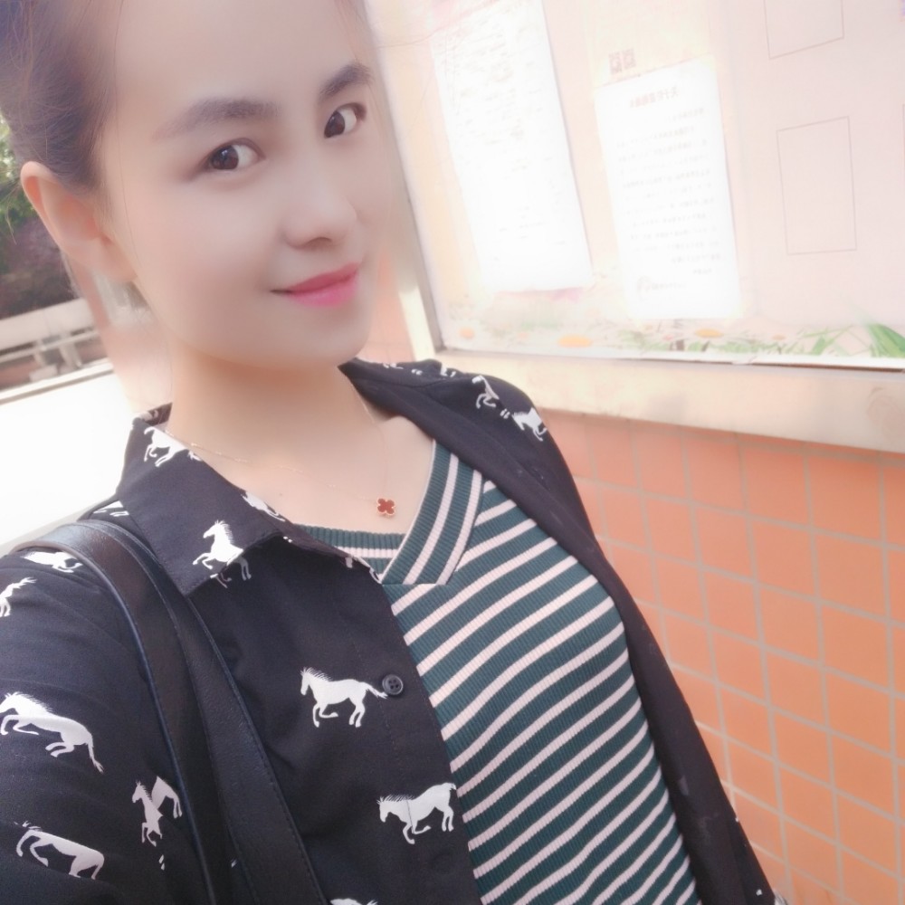 玫瑰打沉静的照片