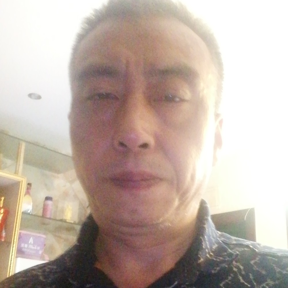 伶俐翅的照片