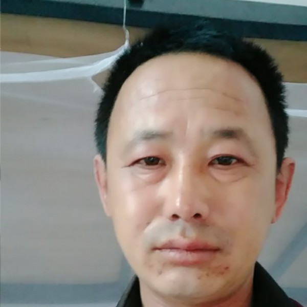 畅快闻自行车的照片