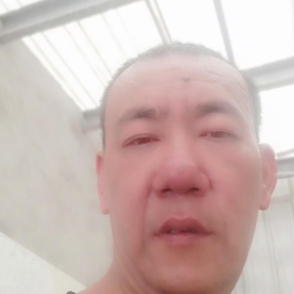 矮小拾忆河马的照片