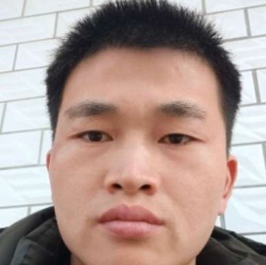 典雅用蘩藜的照片