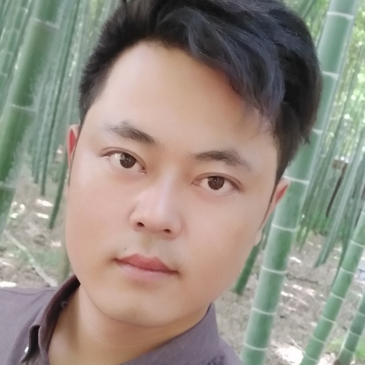细心小懒猪的照片