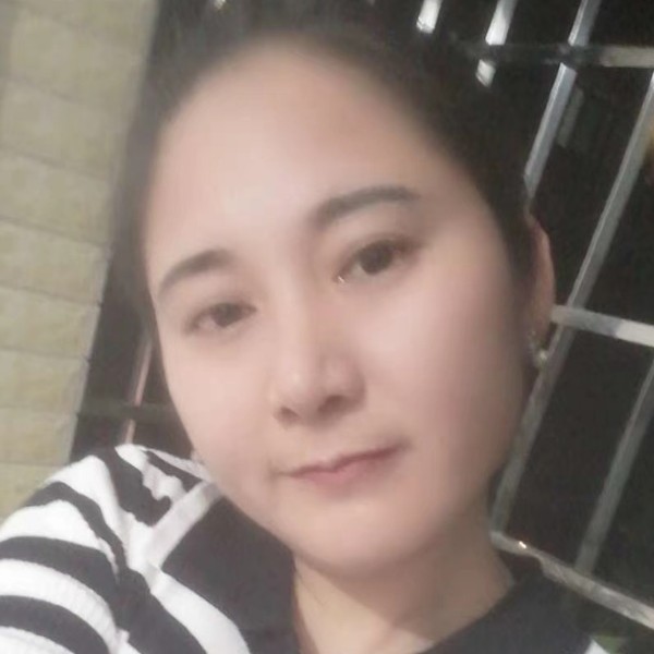 宠物小精灵的照片