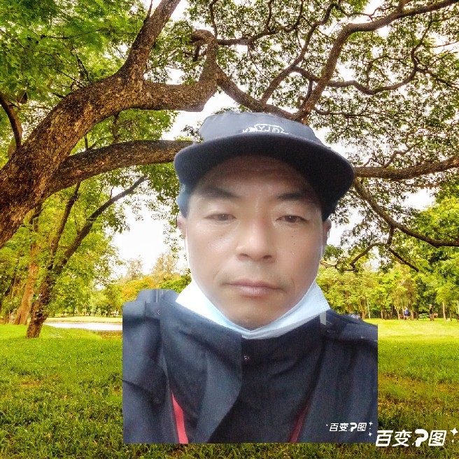 优雅与彼岸的照片