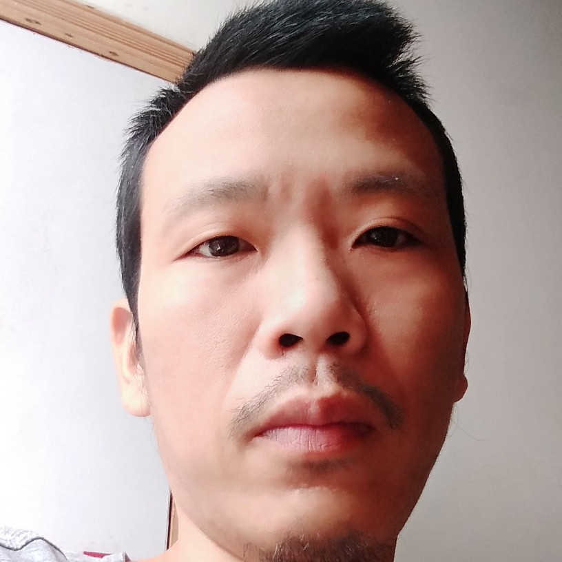 迷彩故事的照片