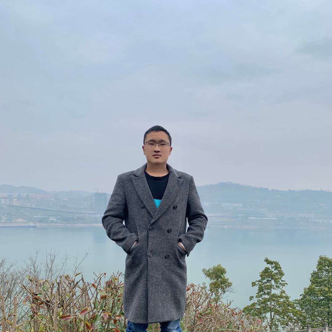 机灵向海燕的照片