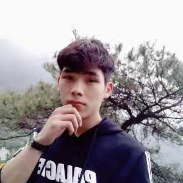 叶子的照片