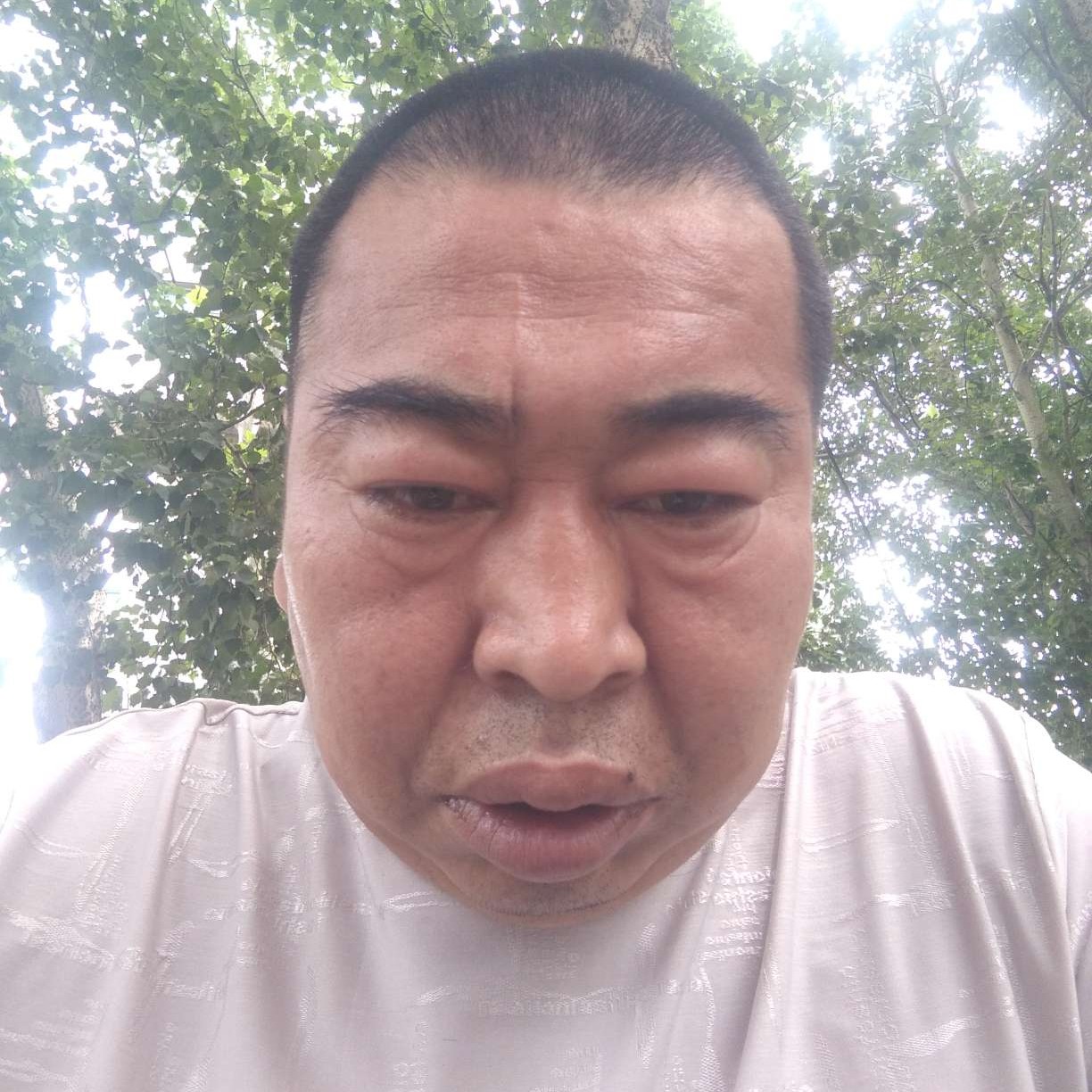 健忘邂逅芹菜的照片
