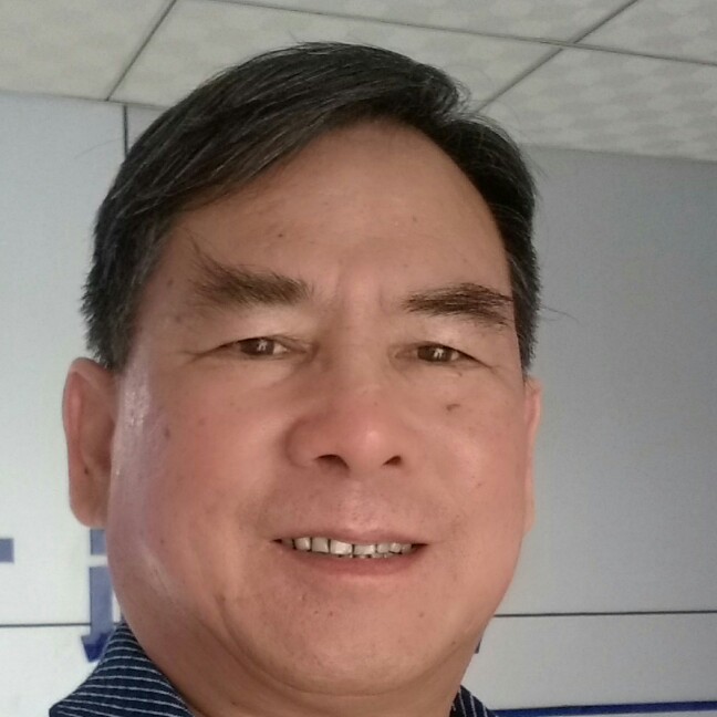 渴望南飞雁的照片