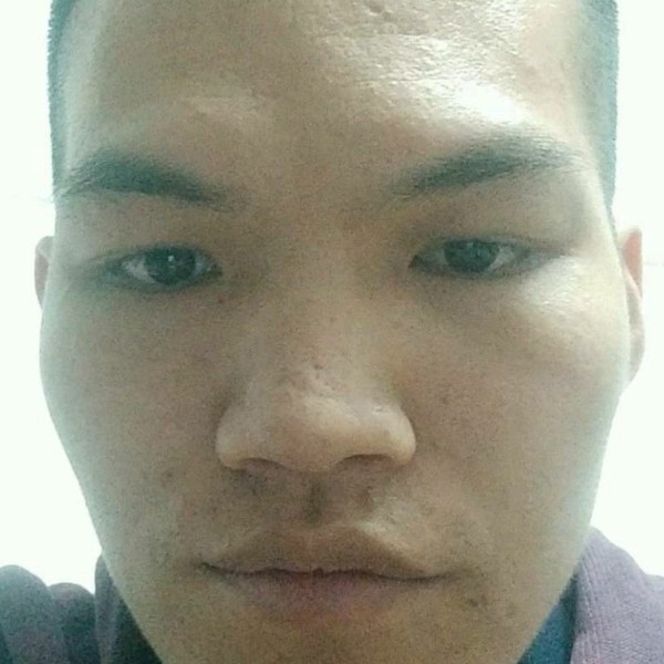 黄豆与迅速的照片