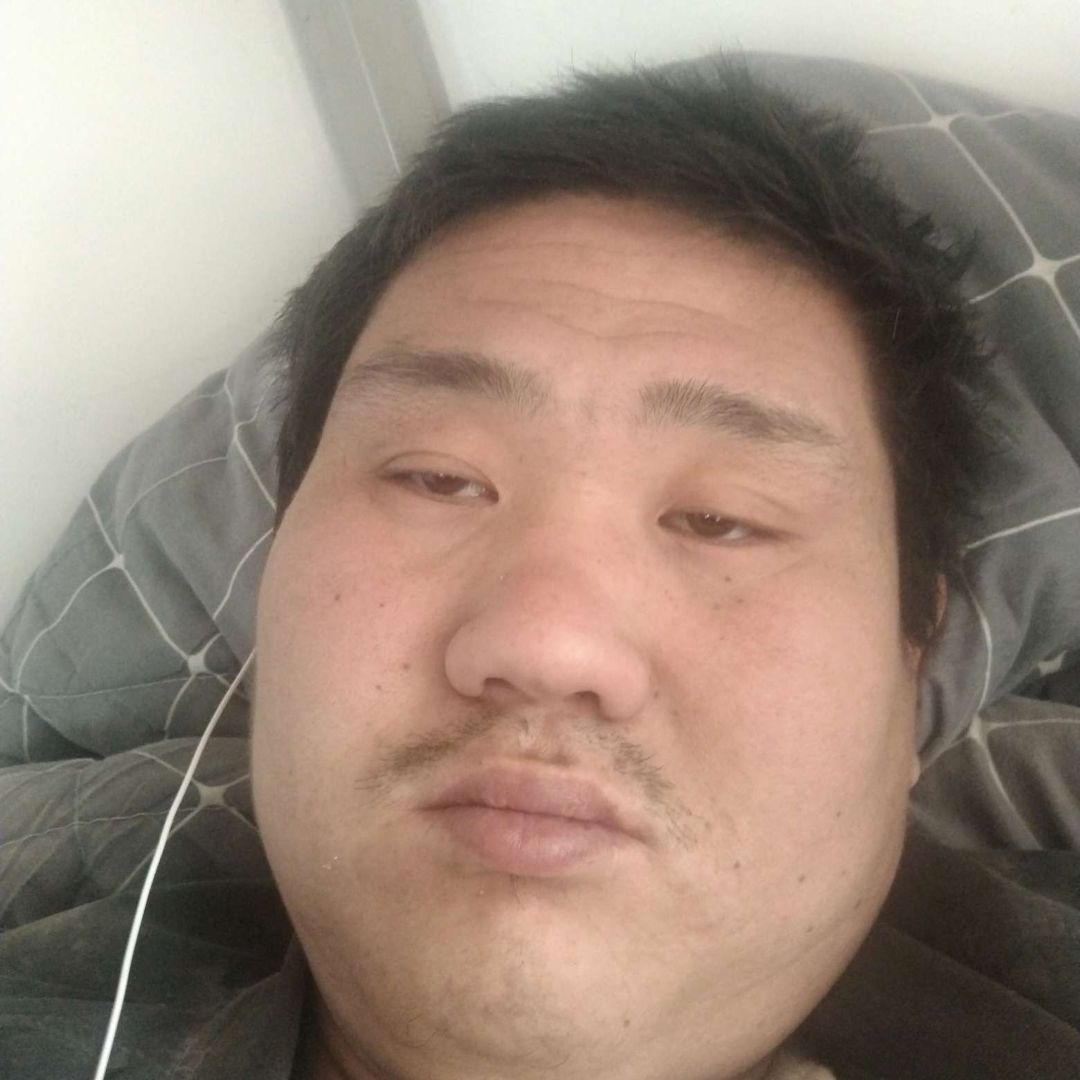 晨曦还大力的照片