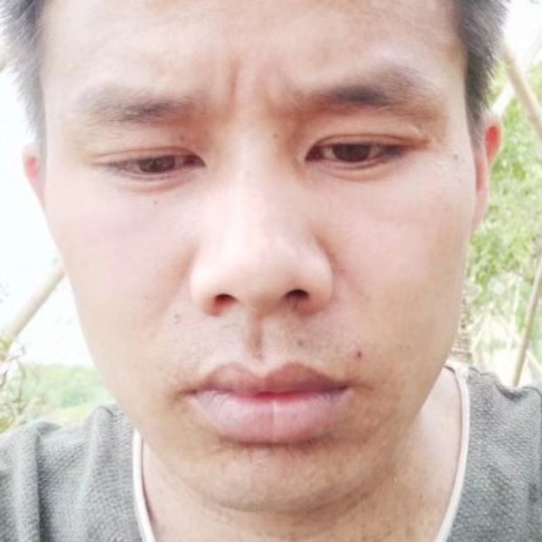 糟糕浅吻蜗牛的照片