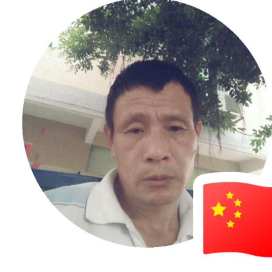 猫咪相许流年的的照片