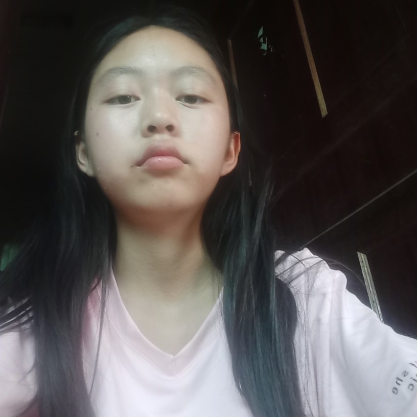 小蜜蜂英俊的照片