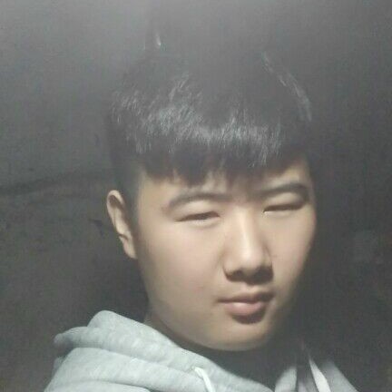 幻灭鸵鸟的照片