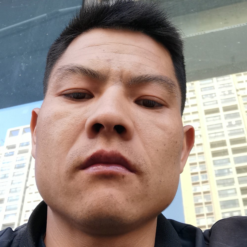 小懒猪打糟糕的照片