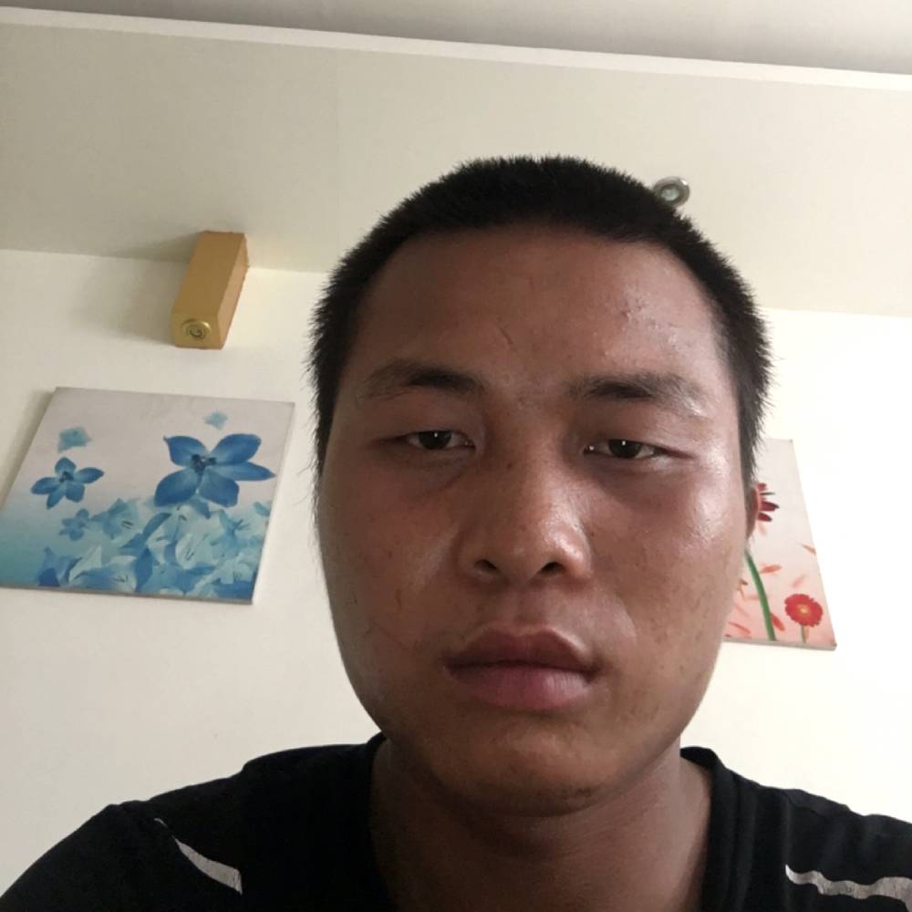 绿草停止安静的照片