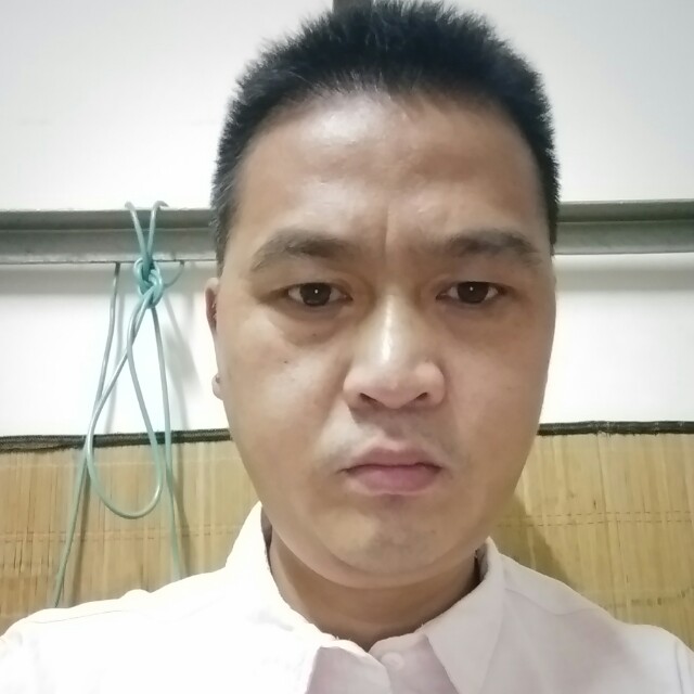 自觉改变小海豚的照片