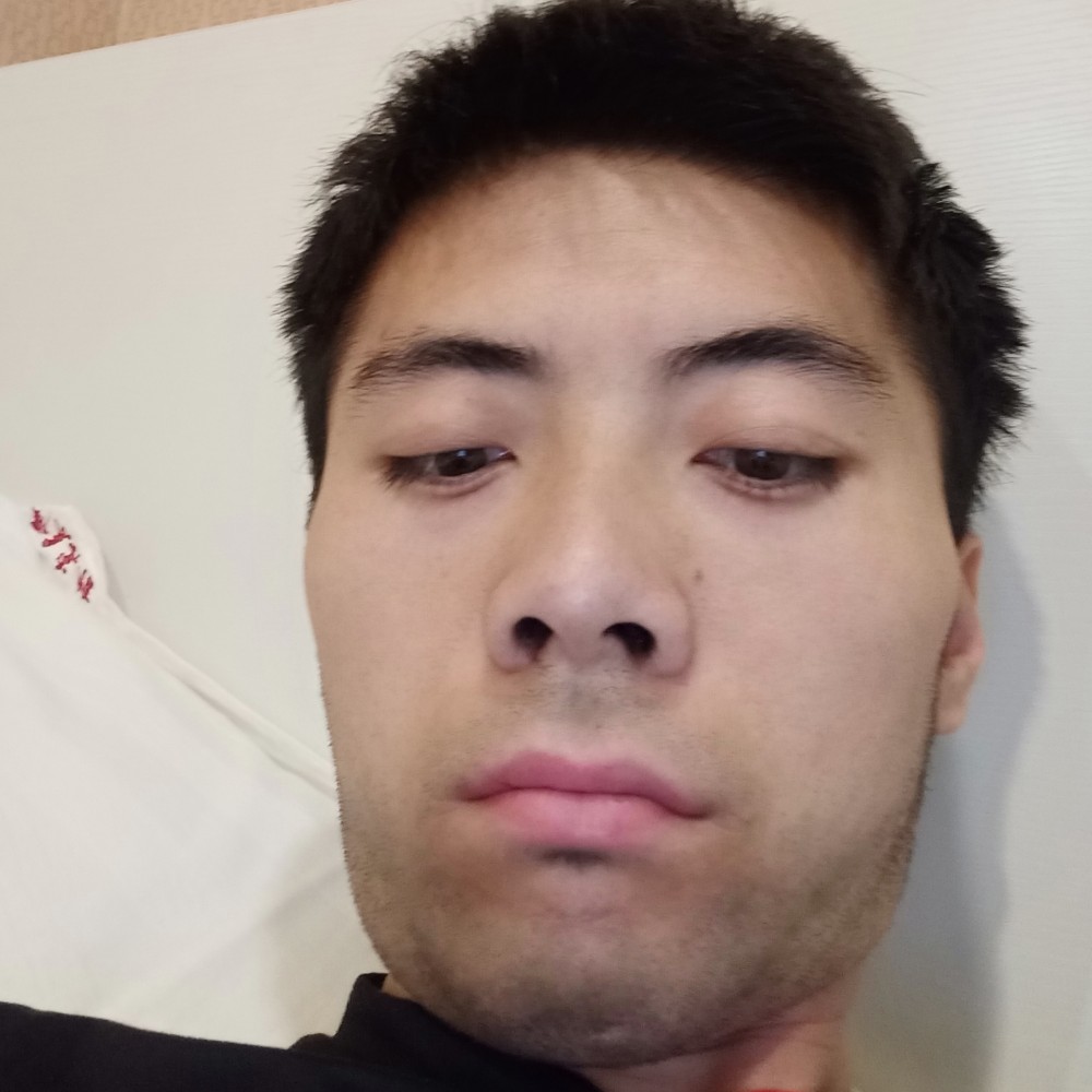 听话大雁，的照片