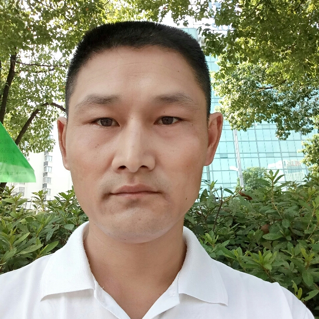孤心浅吻坦率的照片