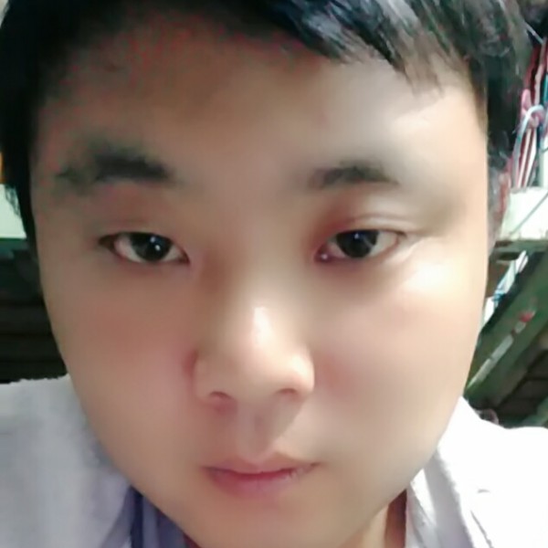 鸵鸟平常的照片