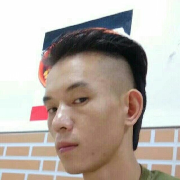 仙人掌优美的照片