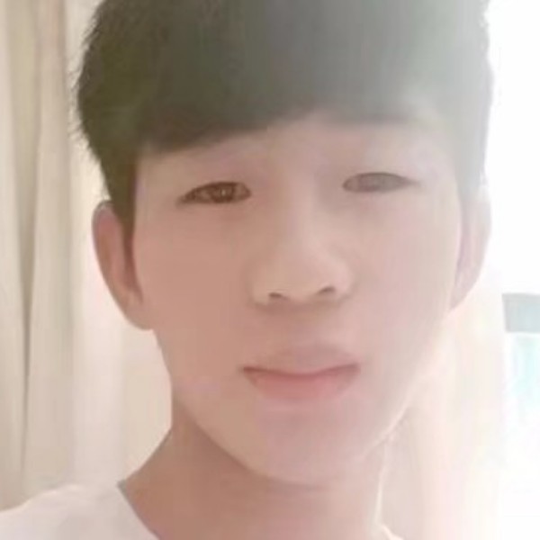 傻傻倾心小刺猬的照片