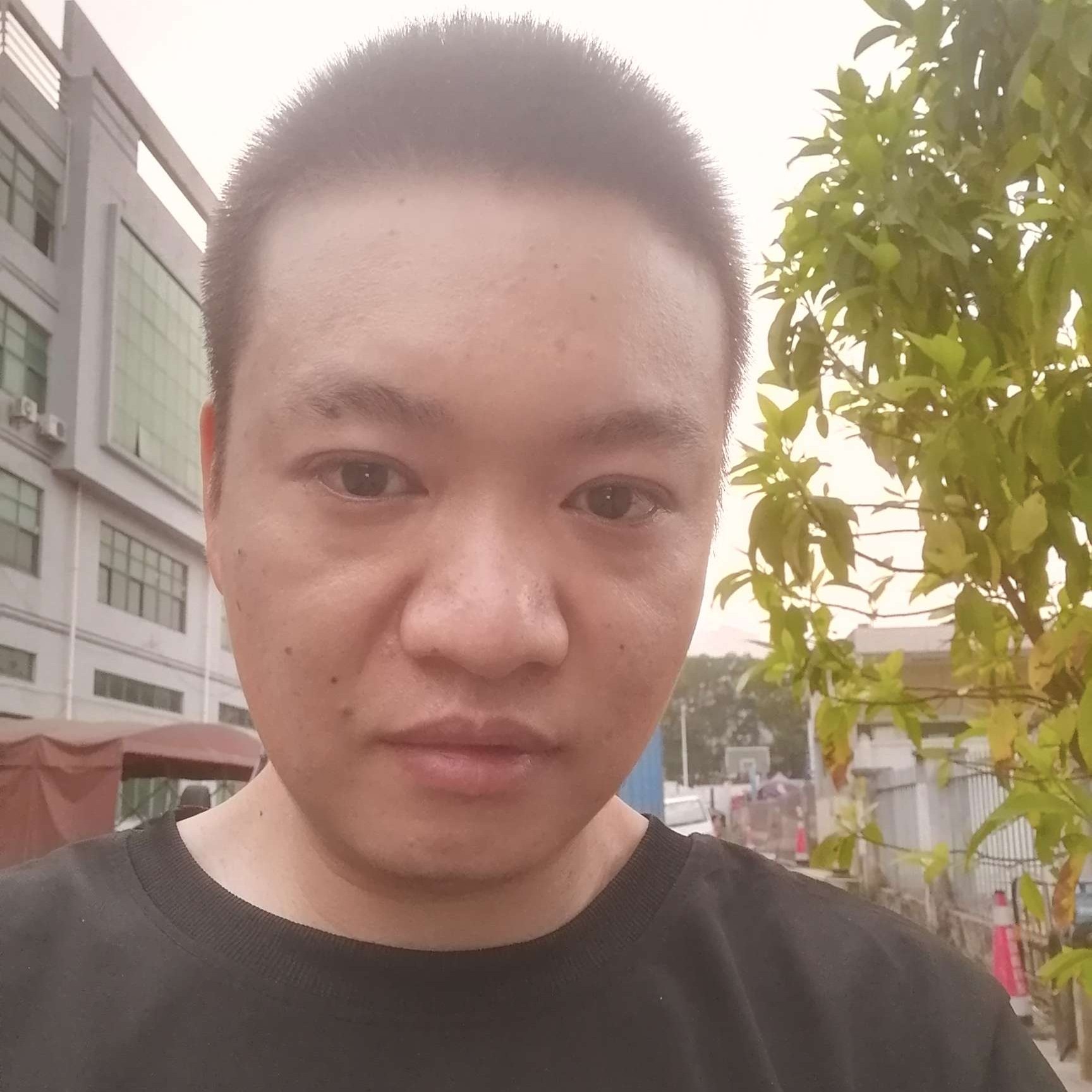 离别殇的背后的照片