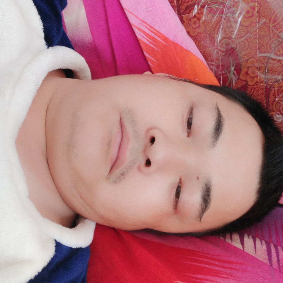 飞鸟邂逅完美的照片