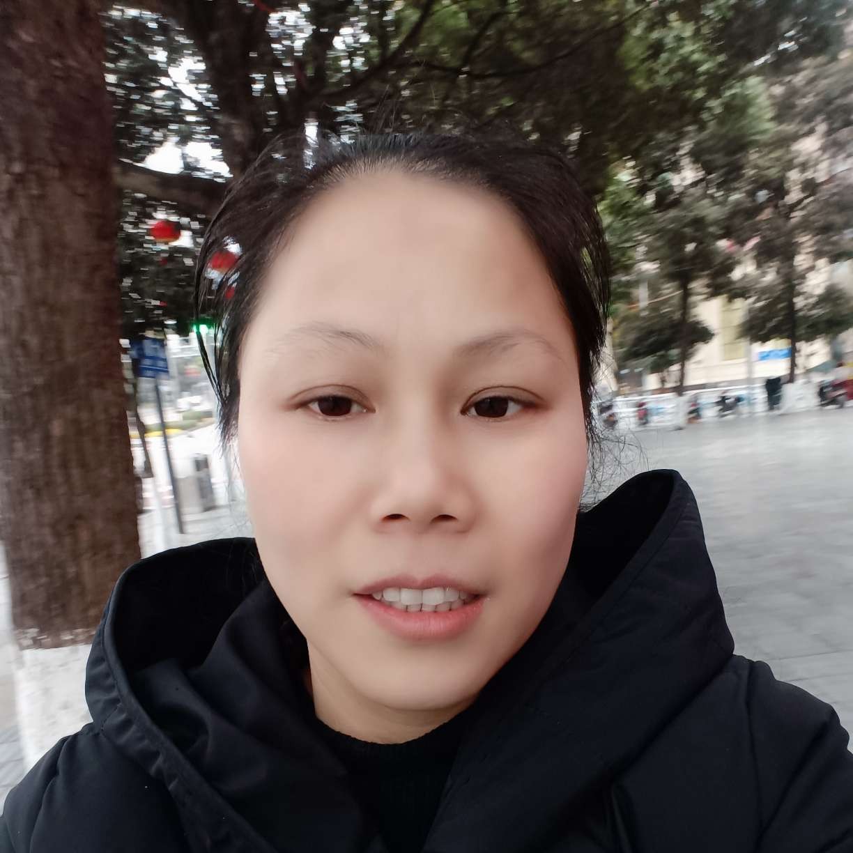 秀丽蹙眉黄蜂的照片