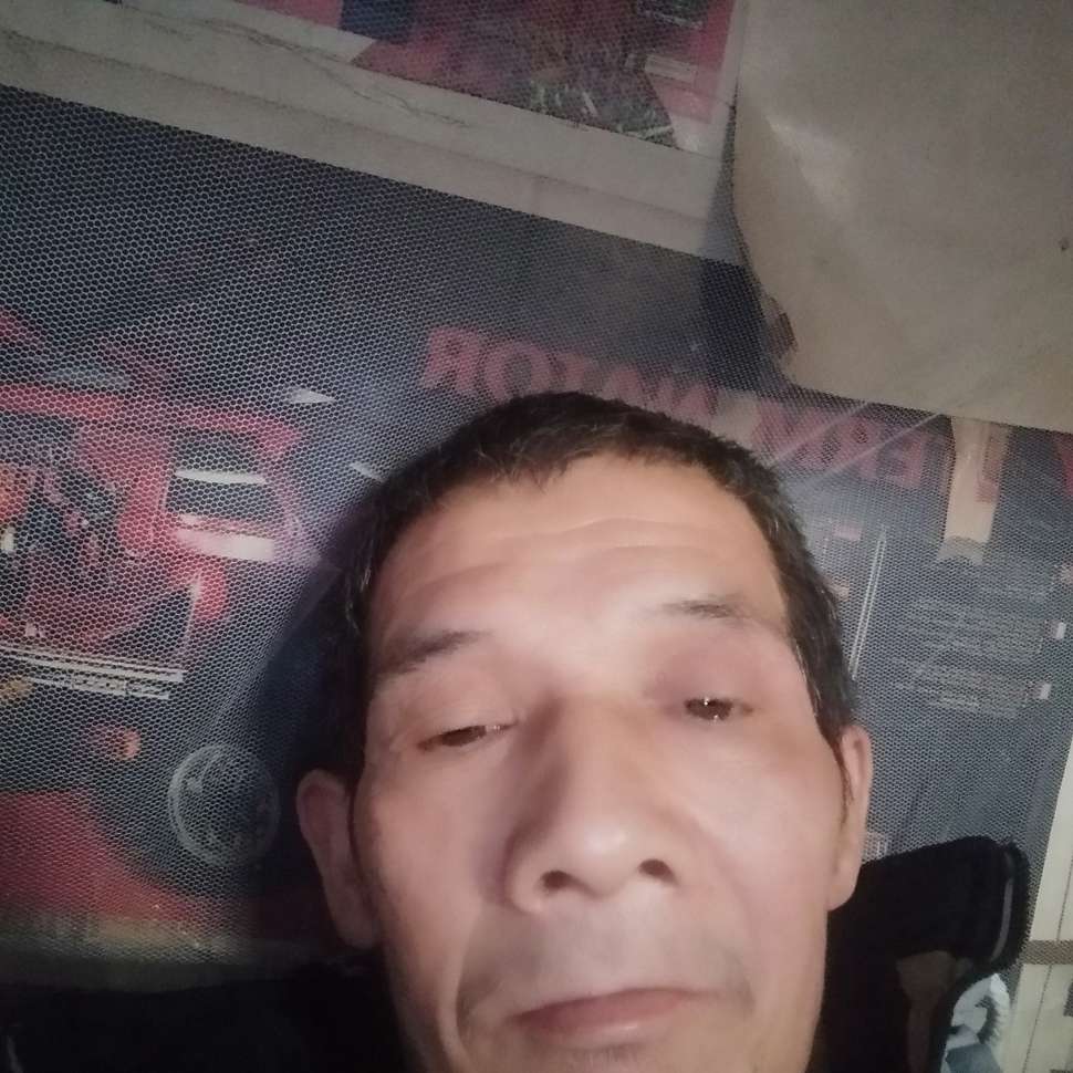 猫咪等于一个人的照片