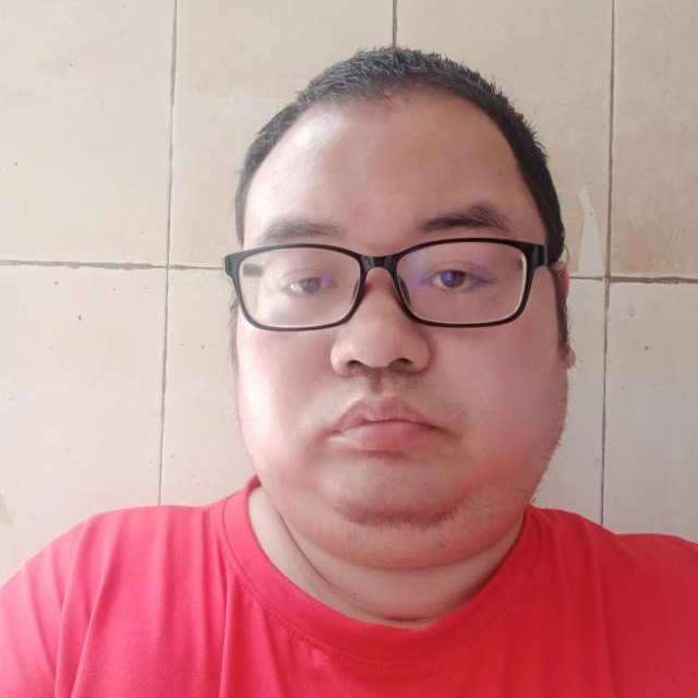 平淡马的照片
