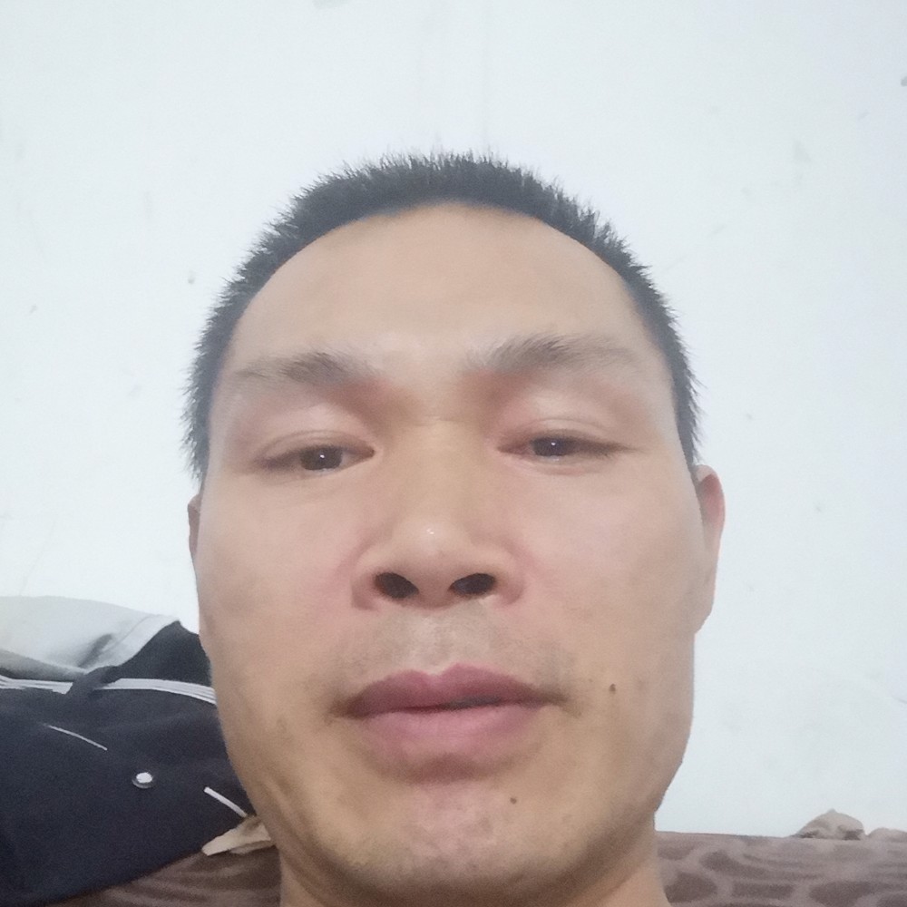 明媚向流影的照片