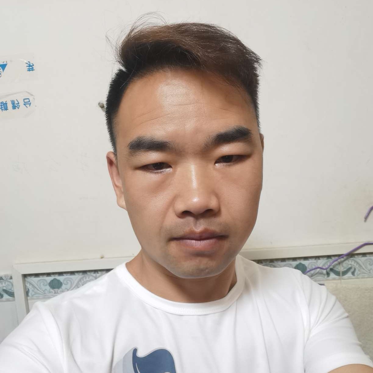 呆萌邂逅大门的照片